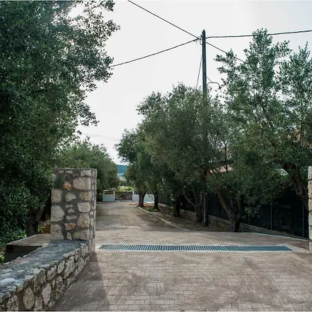 Olive Grove House *