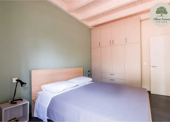 Olive Grove House 호텔 4*
