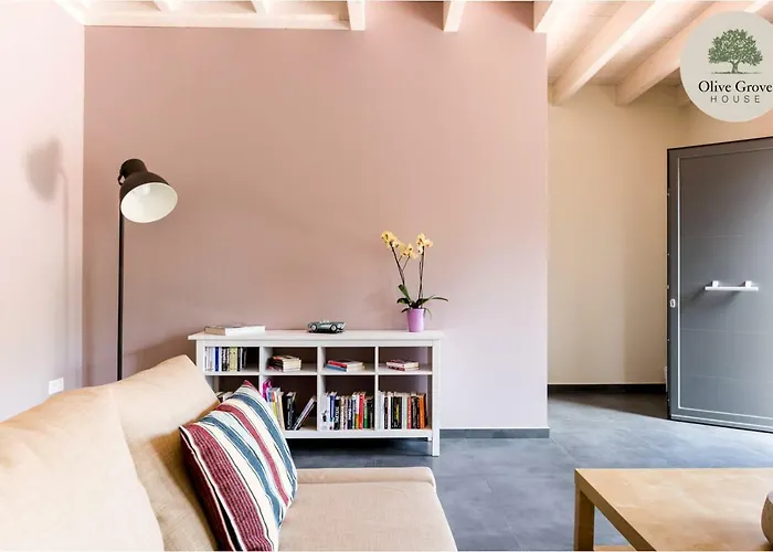호텔 Olive Grove House